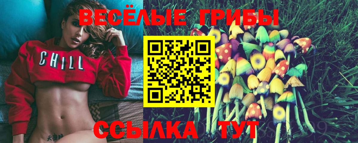 Мытищи  Галлюциногенные грибы MAGIC MUSHROOMS  Вход с VPN 